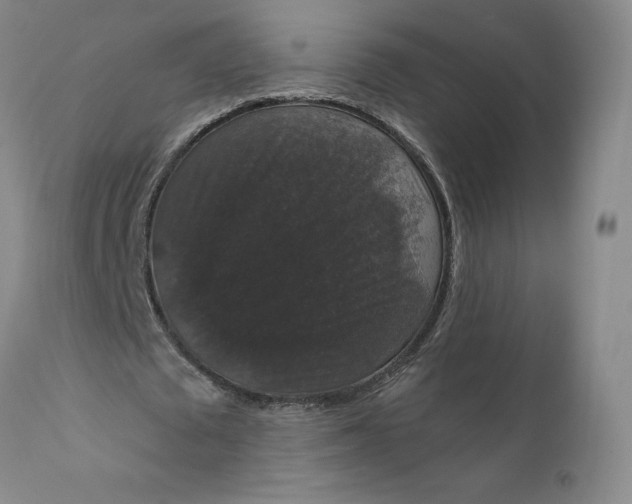 X0000112430673200909041437