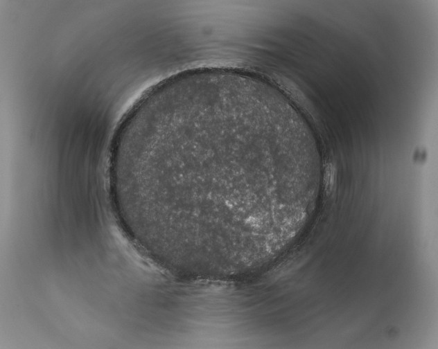 X0000112430676200909041437