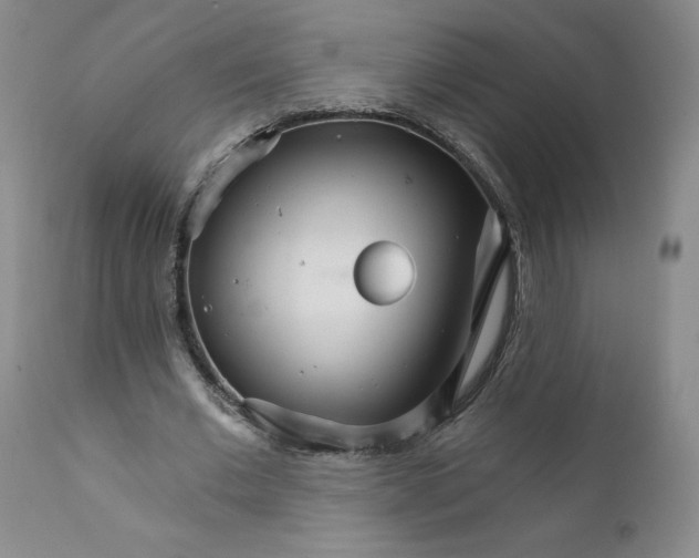 X0000112430677200909041437