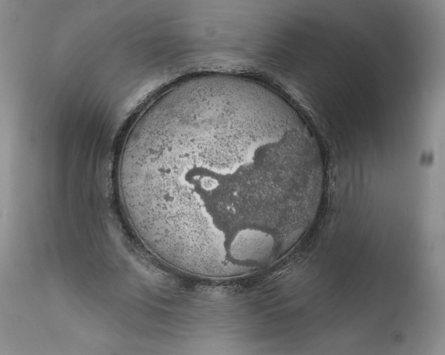 X0000112430679200909041437