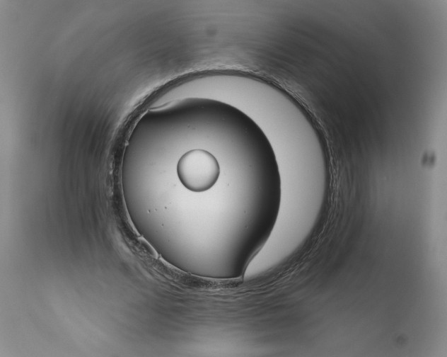 X0000112430680200909041437