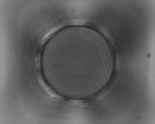 X0000112430681200909041436