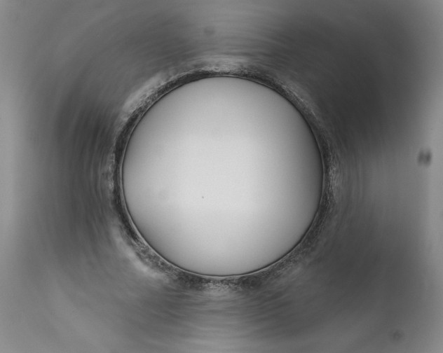 X0000112430682200909041436