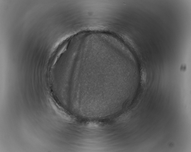 X0000112430684200909041436