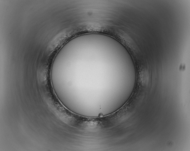 X0000112430687200909041436