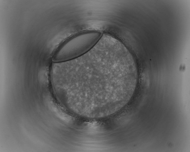 X0000112430688200909041436