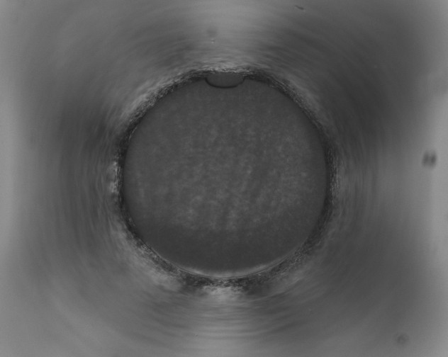 X0000112430689200909041436