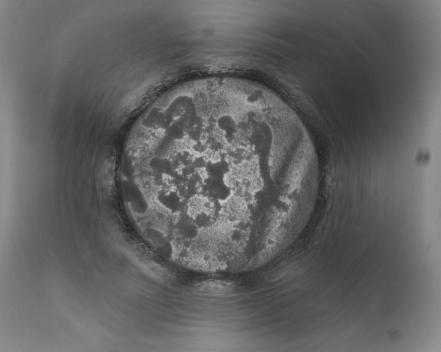 X0000112430691200909041436
