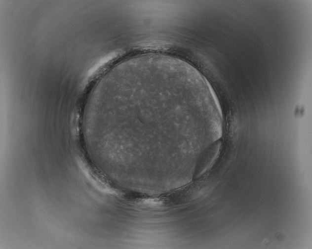 X0000112430692200909041436