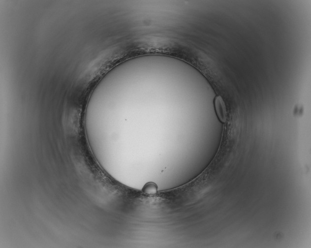 X0000112430695200909041436