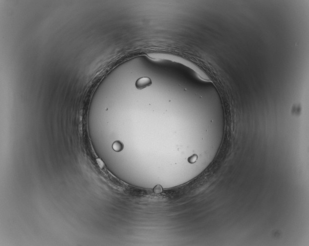 X0000112430696200909041436