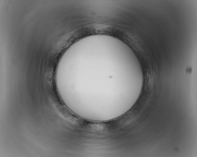 X0000112430698200909041436