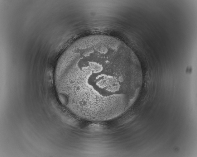 X0000112430699200909041436