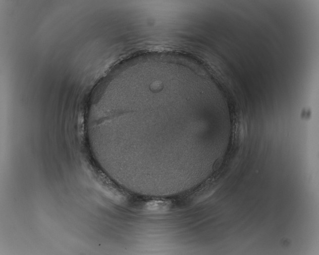 X0000112430700200909041436