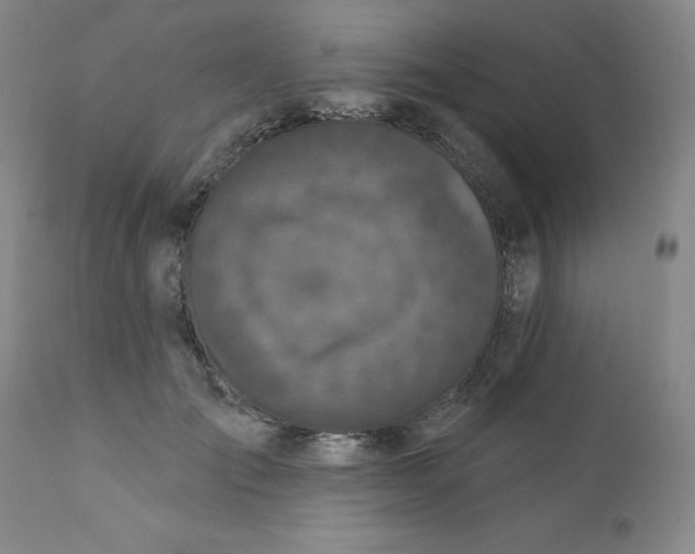 X0000112430701200909041436