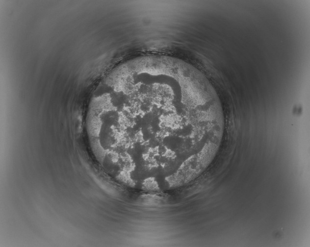 X0000112430703200909041436