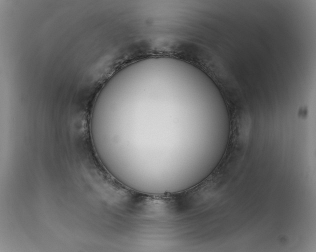 X0000112430706200909041436