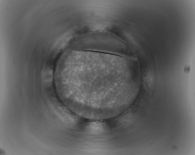 X0000112430708200909041436