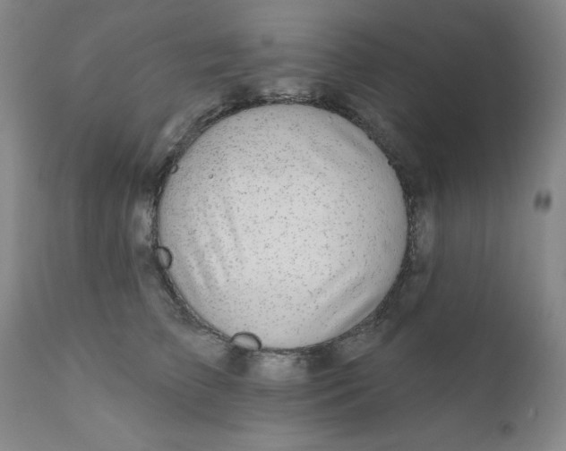 X0000112430709200909041436