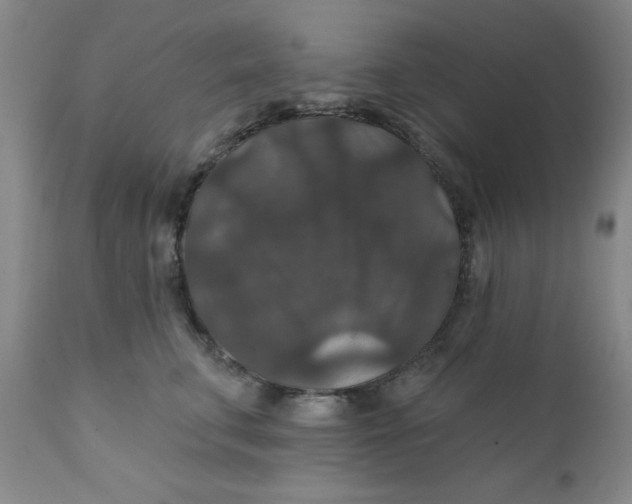 X0000112430711200909041436