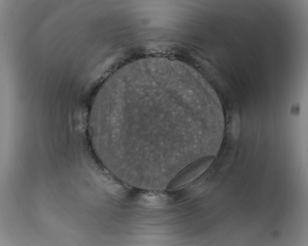 X0000112430712200909041436