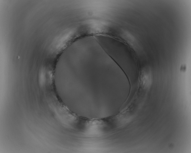 X0000112430716200909041436