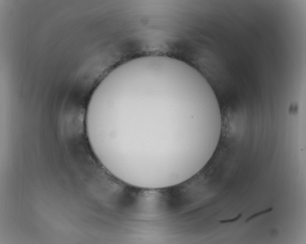 X0000112430717200909041436