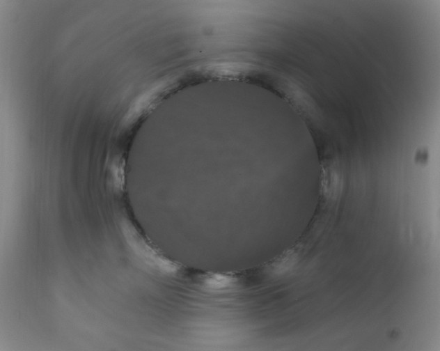 X0000112430718200909041436