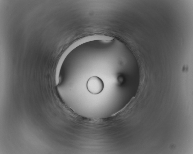 X0000112430720200909041436