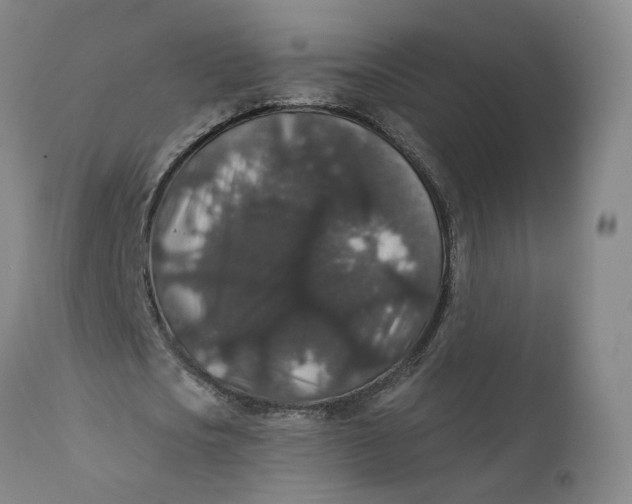 X0000112430721200909041435