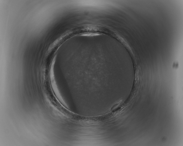 X0000112430722200909041435