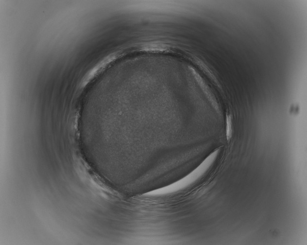 X0000112430723200909041435