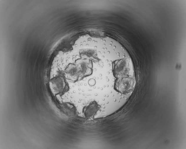 X0000112430725200909041435