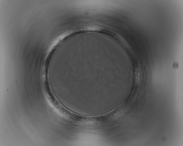 X0000112430726200909041435