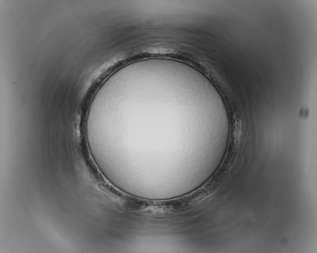 X0000112430727200909041435