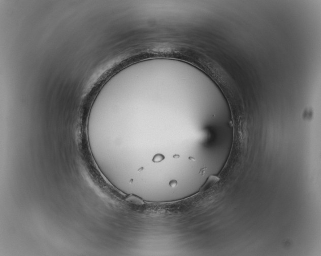 X0000112430728200909041435