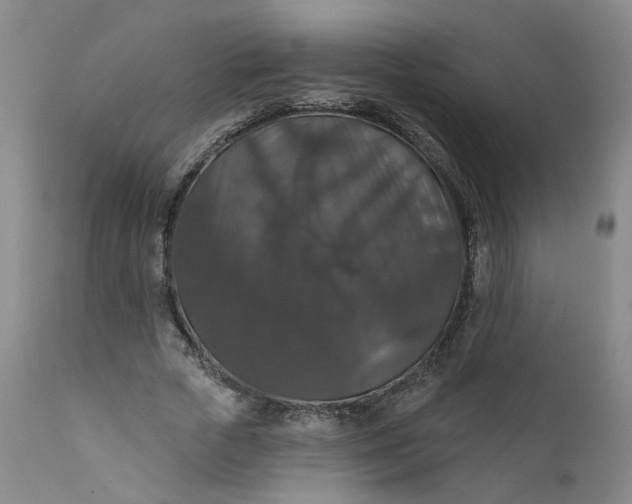 X0000112430729200909041435