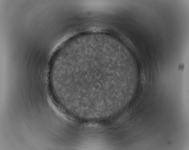 X0000112430730200909041435