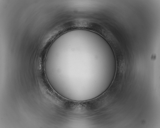 X0000112430731200909041435