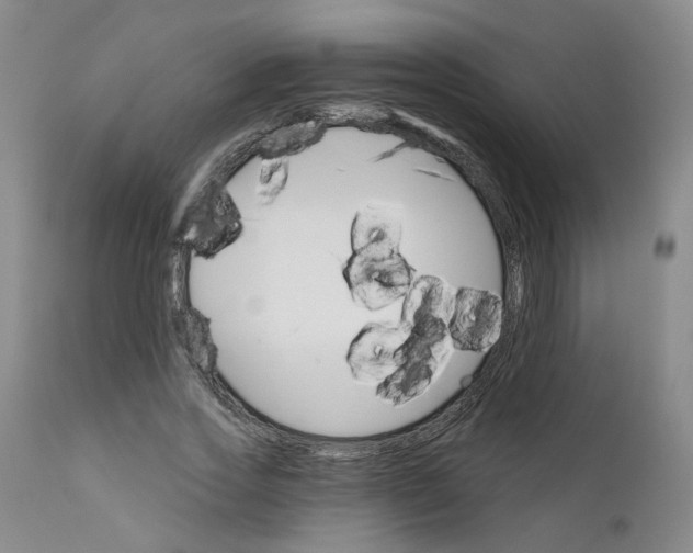 X0000112430733200909041435