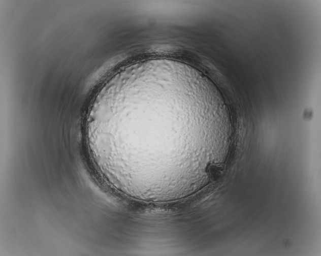 X0000112430734200909041435