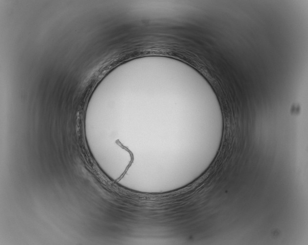 X0000112430735200909041435