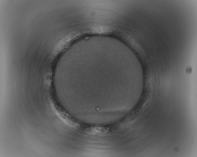 X0000112430736200909041436