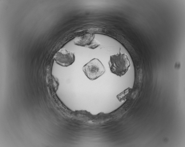 X0000112430737200909041436