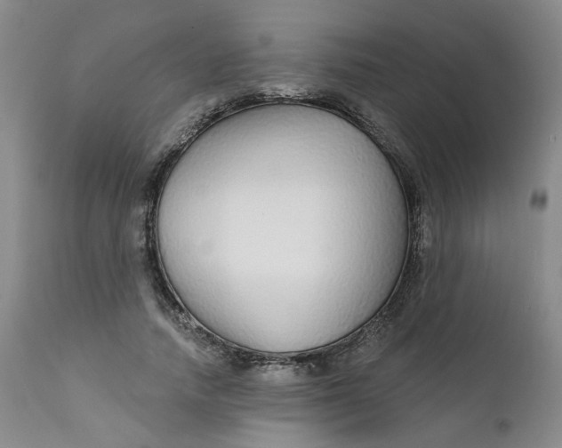 X0000112430738200909041436