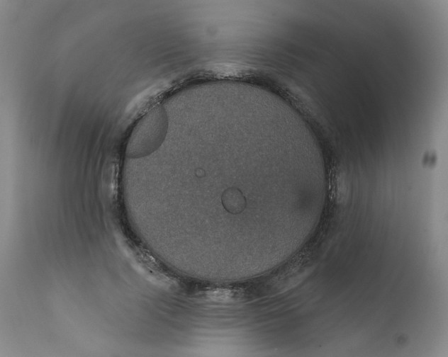 X0000112430740200909041436