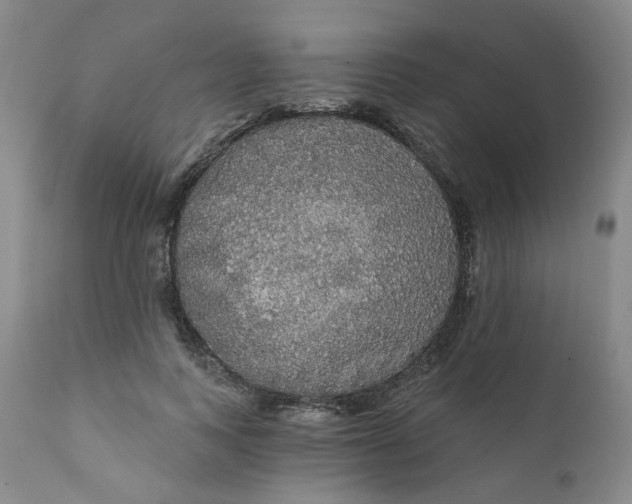 X0000112430743200909041436