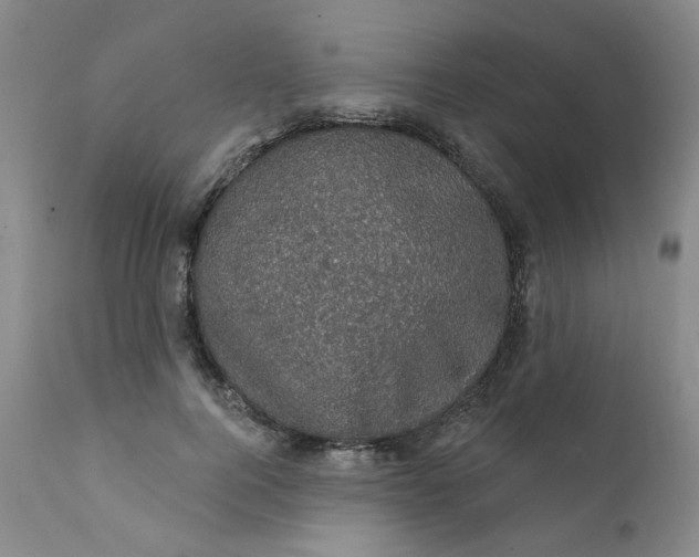 X0000112430744200909041436