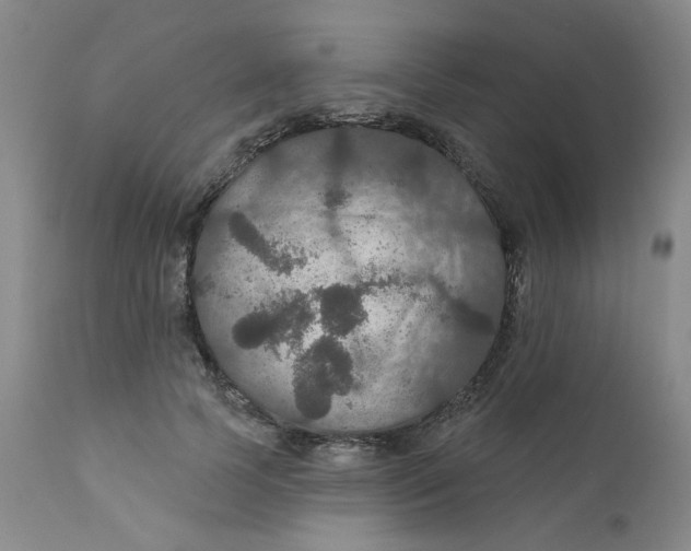 X0000112430745200909041436