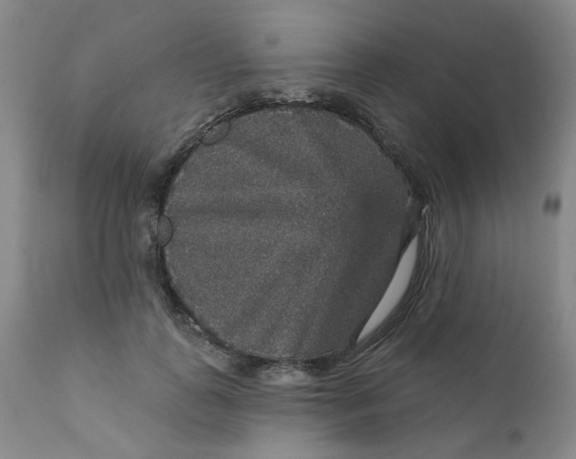 X0000112430747200909041436